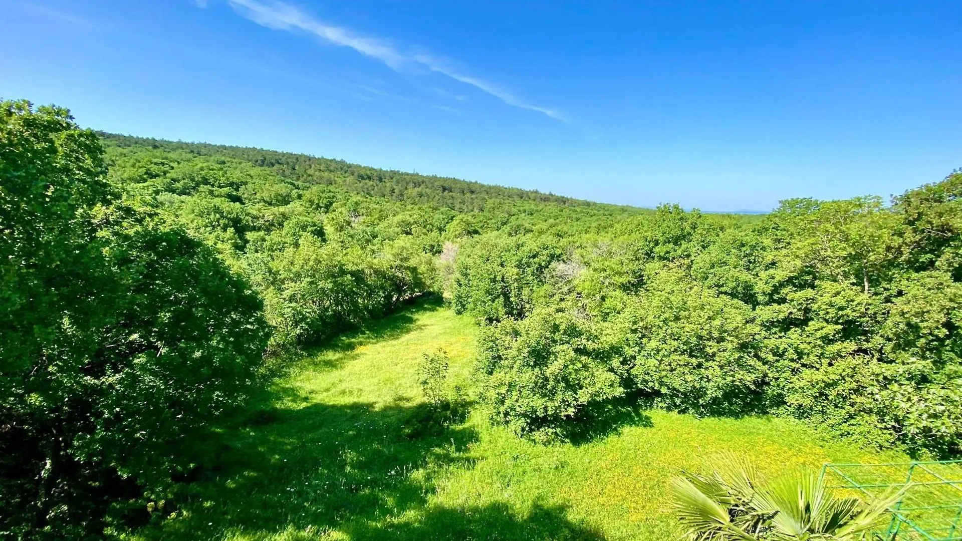 Holiday House With A Parking Space Donji Zagon, Novi Vinodolski - 20568 Croatia